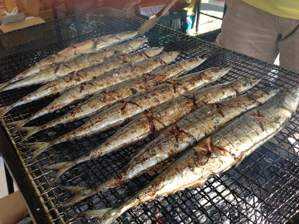 matsuda_7