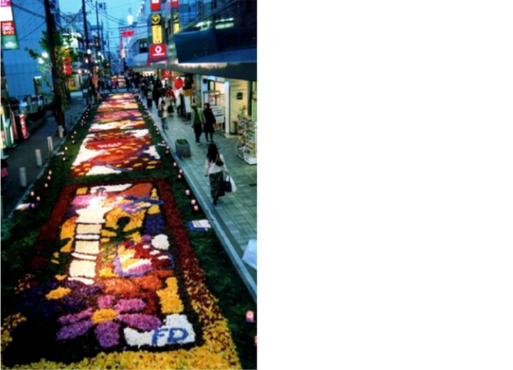 katasesan_inforata_01